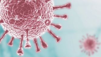 Estudar com o Ensina em tempo de COVID-19