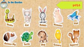 Animais de Estimação – Pets vocabulary