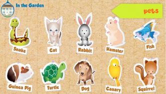 Animais de Estimação - Pets vocabulary