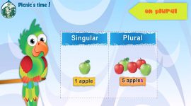 Plural – Regular and irregular plurals