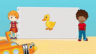 Animais: como se deslocam