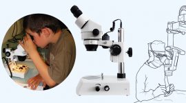 O microscópio – a sua evolução e constituição