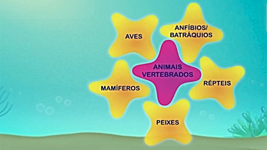 Os animais: classes de vertebrados
