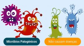 Microrganismos: micróbios úteis