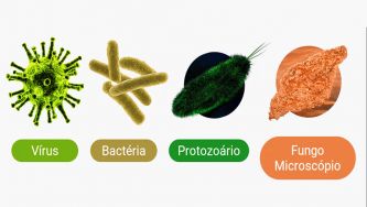 Microrganismos: micróbios patogénicos