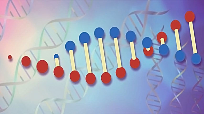 Genética e problemas bioéticos