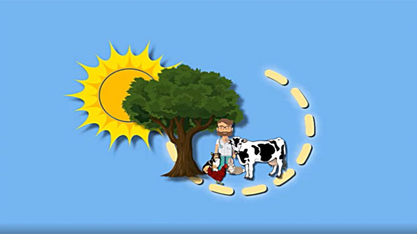 O ciclo de matéria nos ecosssistemas