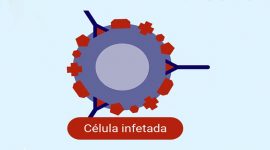 Sistema imunitário e grupos sanguíneos