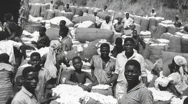 Angola, 1961: o início do fim