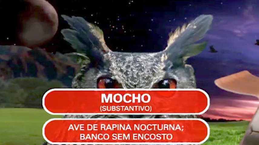 Um mocho a voar, outro mocho para sentar? Temos homónimas