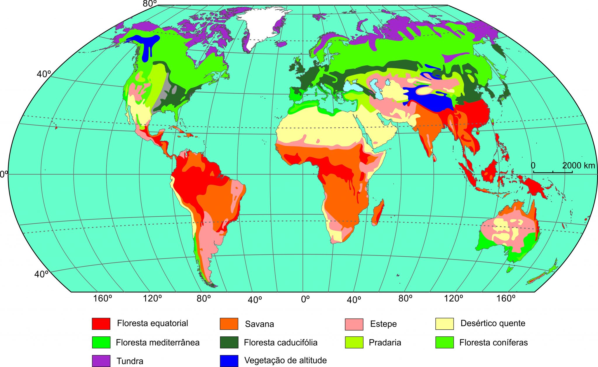 Vegetação mundial em Geografia