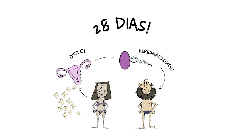 Como nascem os bebés?