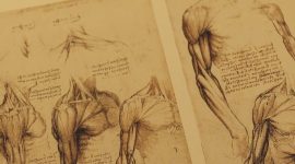 O Corpo Humano – de Leonardo da Vinci à Inteligência Artificial