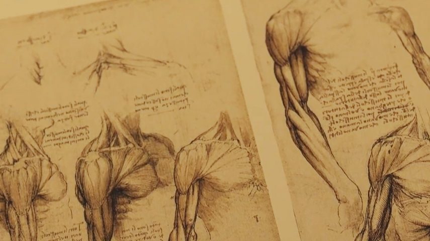 O Corpo Humano – de Leonardo da Vinci à Inteligência Artificial