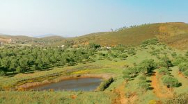 Clima mediterrâneo: Portugal e outras zonas do mundo