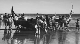 Imagem de Arte-xávega, a vida piscatória da Costa de Caparica