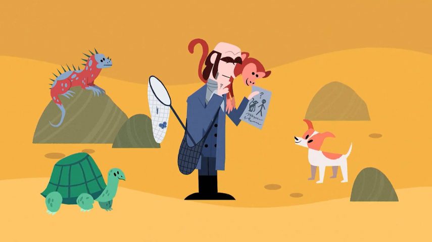 À procura de Darwin