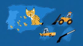 Imagem de Mãe lince