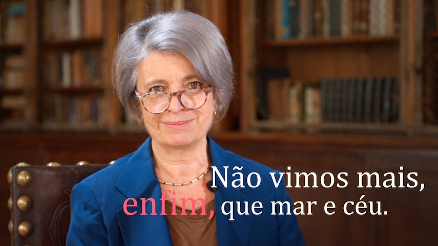 Luís de Camões: a Educação