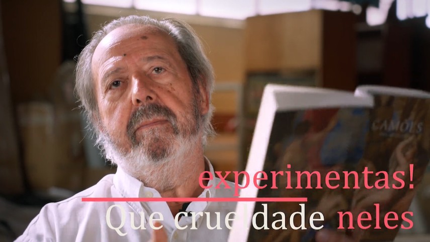 Luís de Camões: o Simbolismo