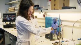 Imagem de Ciência no prato: carne e peixe criados em laboratório?