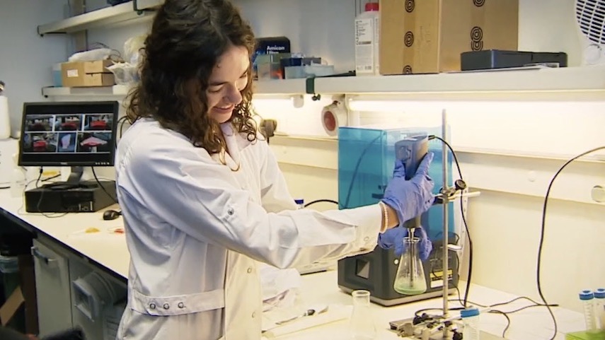 Ciência no prato: carne e peixe criados em laboratório?