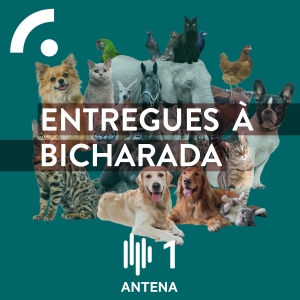 Imagem de Entregues à Bicharada