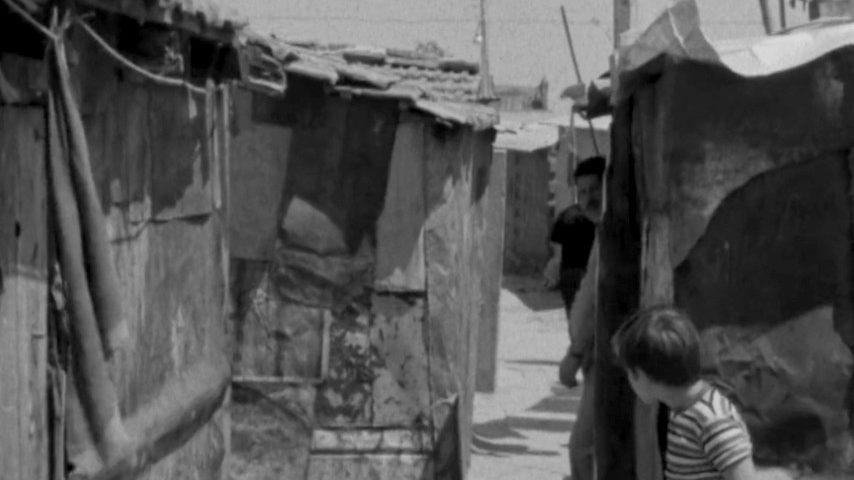 O Estado Social em democracia