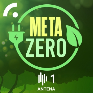 Imagem de Meta Zero