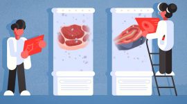 Imagem de Descomplicar a Comida do Futuro