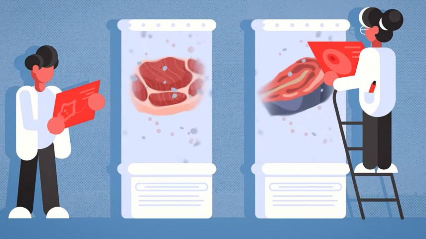 Descomplicar a Comida do Futuro