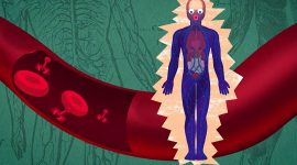 Imagem de Descomplicar o Mundo Invisível