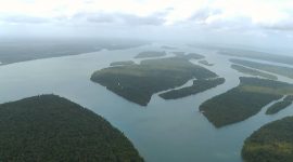 Imagem de Amazónia, a floresta ferida