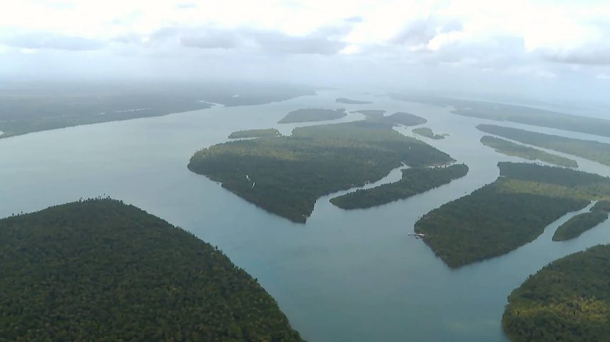 Amazónia, a floresta ferida