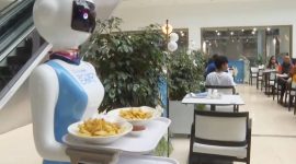 Imagem de Humanoides, da ficção ao quotidiano