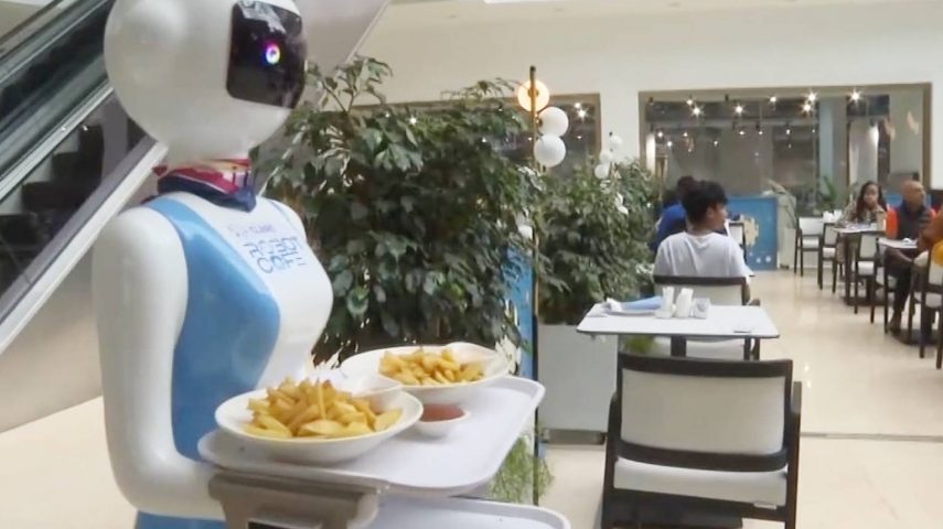 Imagem de Humanoides, da ficção ao quotidiano