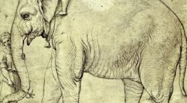 Imagem de Uma elefanta na embaixada de D. Manuel ao Papa