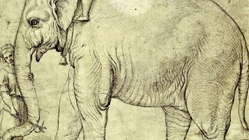 Uma elefanta na embaixada de D. Manuel ao Papa