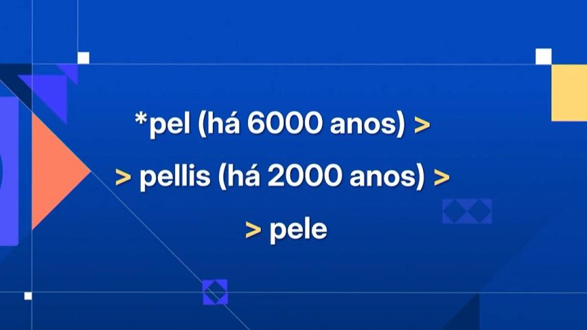 De onde vem a nossa “pele”?