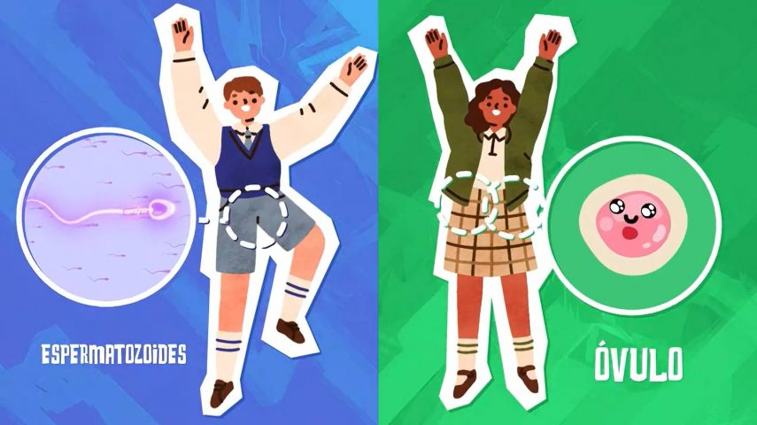 Descomplicar a Adolescência