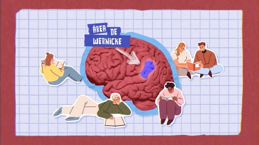 Descomplicar a Linguagem