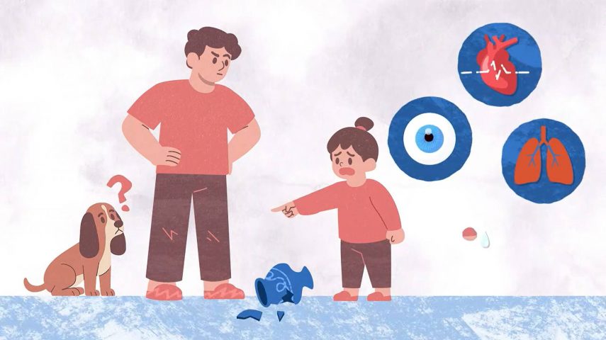 Descomplicar a Mentira