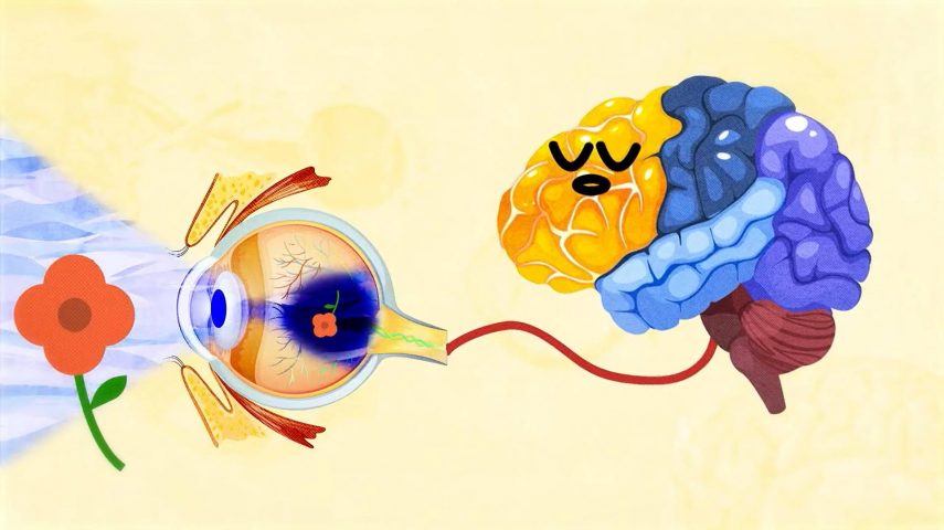 Descomplicar a Visão