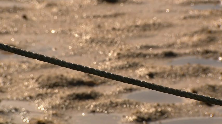 Imagem de Abuso sexual: quando ultrapassam o teu corpo e a lei