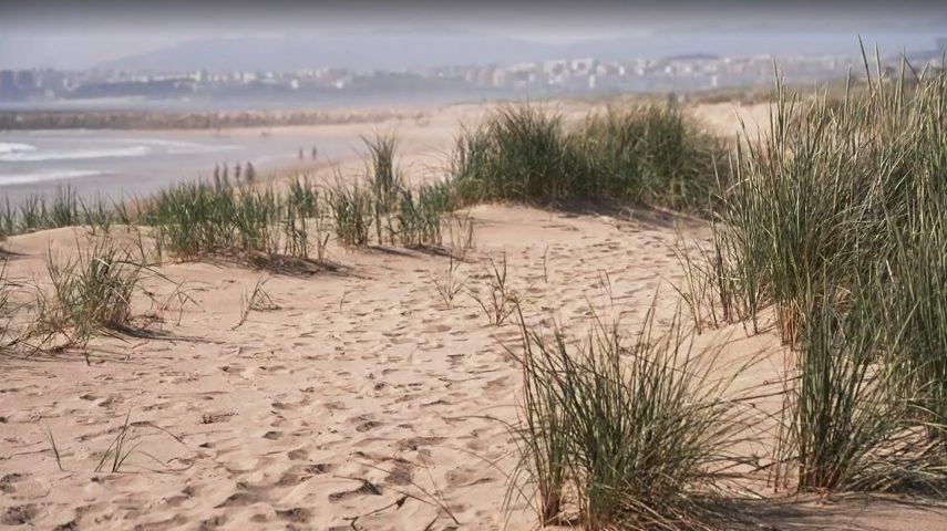 Como se recupera uma praia?