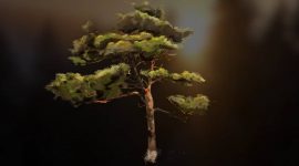 Imagem de Floresta autóctone: um escudo contra o fogo