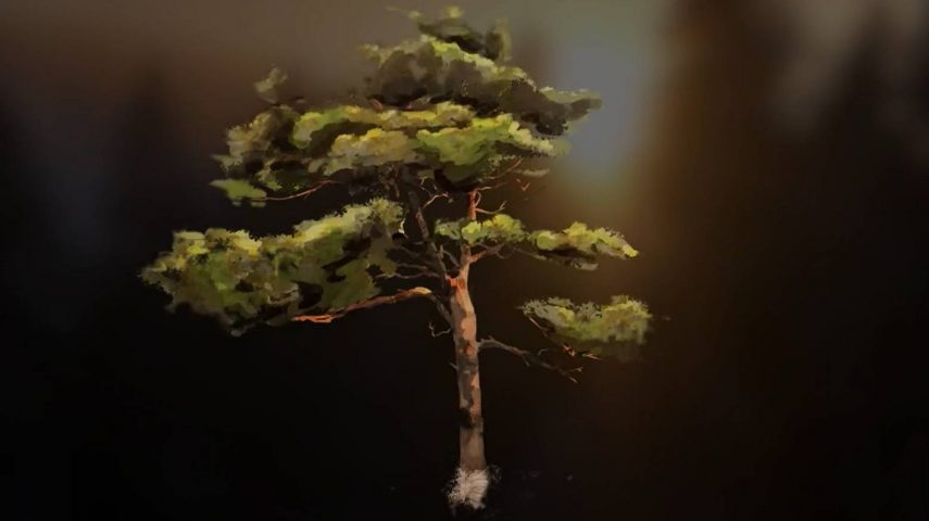 Floresta autóctone: um escudo contra o fogo