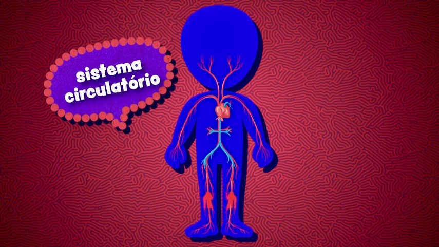 Quantas funções tem o sangue? E é composto de quê?