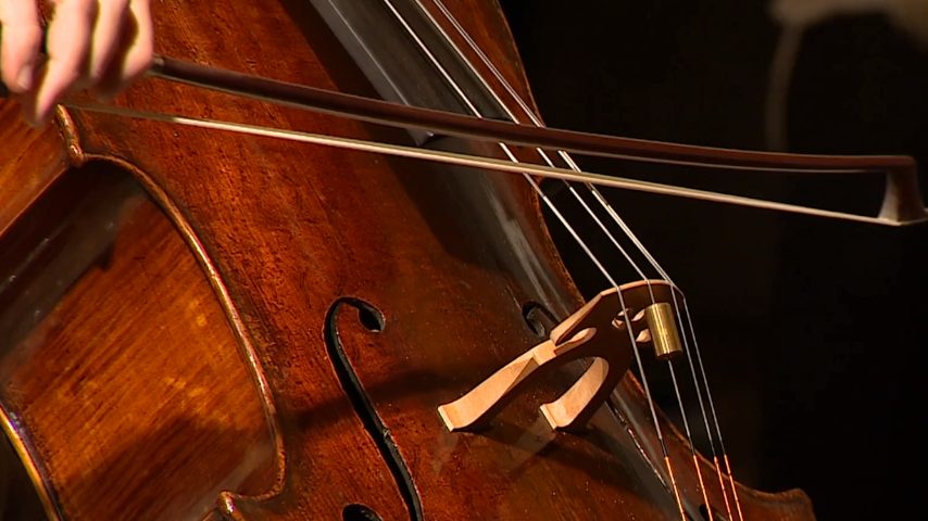 Imagem de Um “Stradivarius” em Portugal