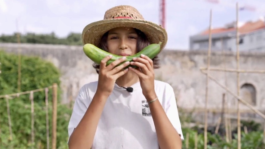 Vamos à horta na cidade?